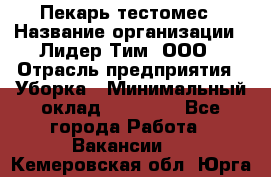 Пекарь-тестомес › Название организации ­ Лидер Тим, ООО › Отрасль предприятия ­ Уборка › Минимальный оклад ­ 30 000 - Все города Работа » Вакансии   . Кемеровская обл.,Юрга г.